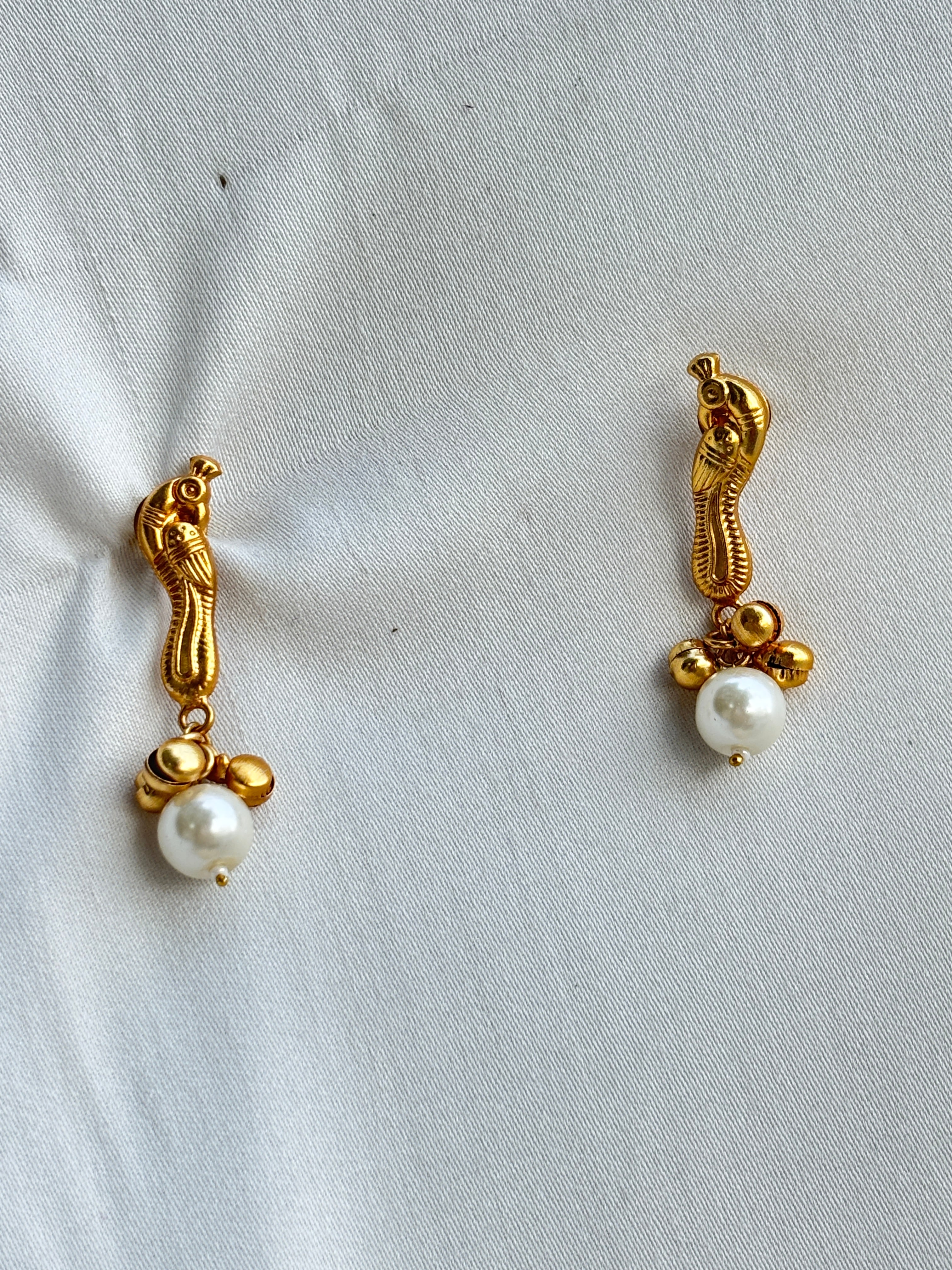 Regal Heritage Golden Hasli