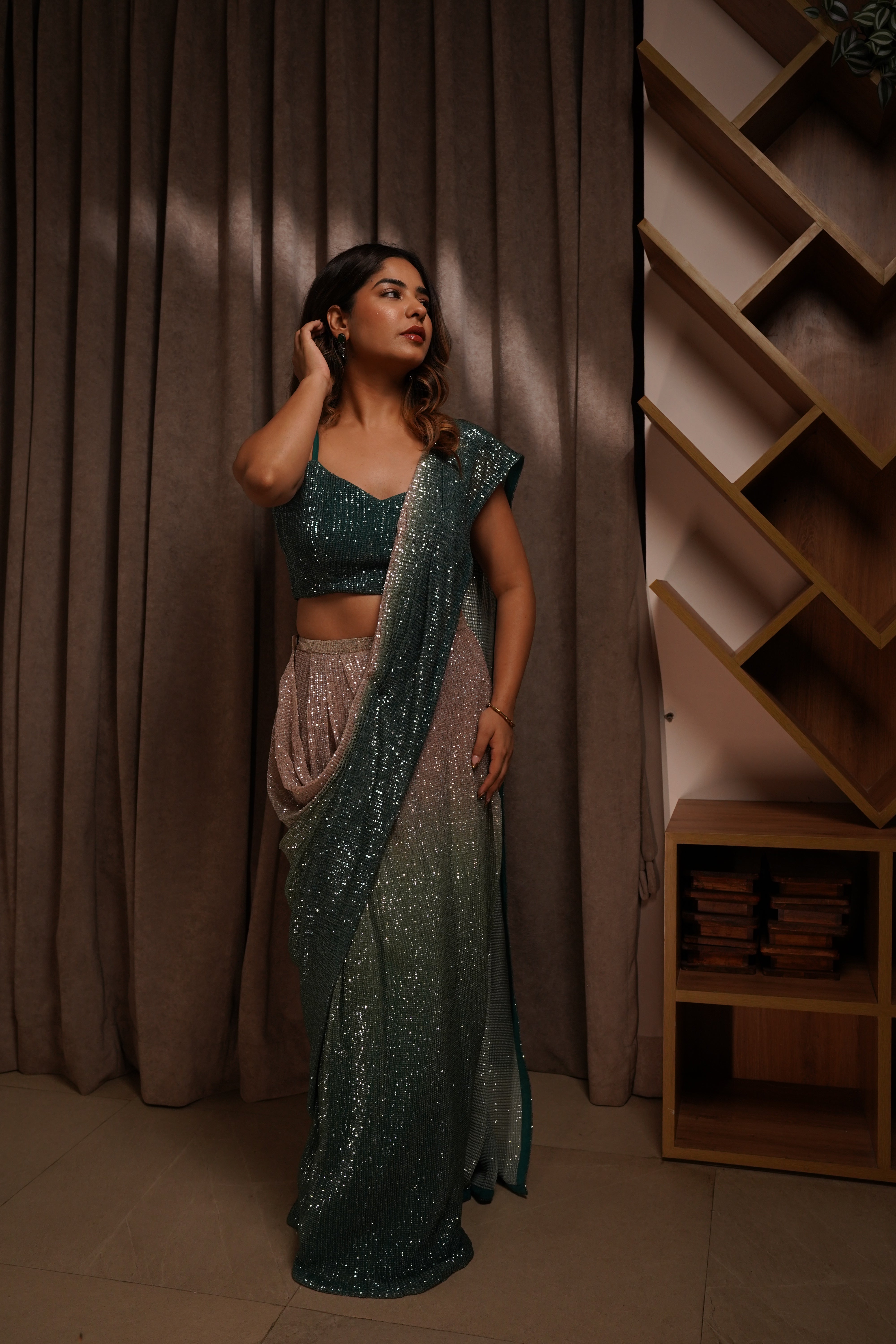 Ombré Sequin saree (sale)