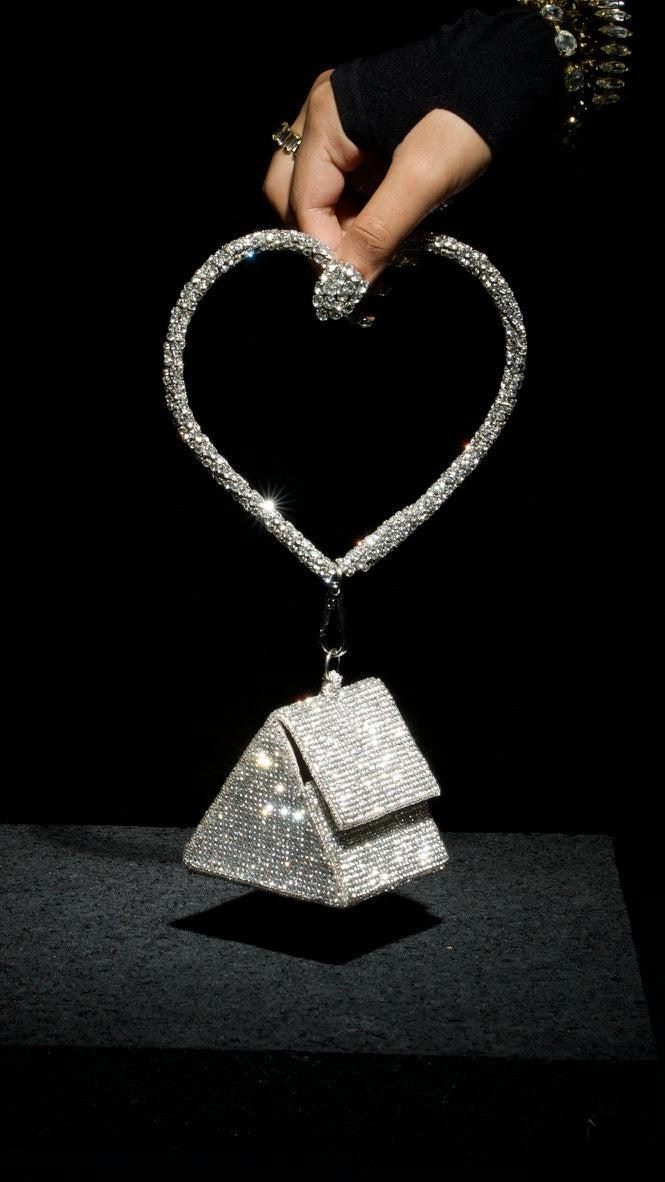 Aashna Shroff with Nano Silver Bag