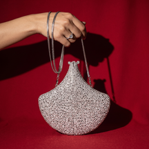 Lume Silver Crystal Fan Clutch
